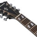 Ibanez AE170-TBK