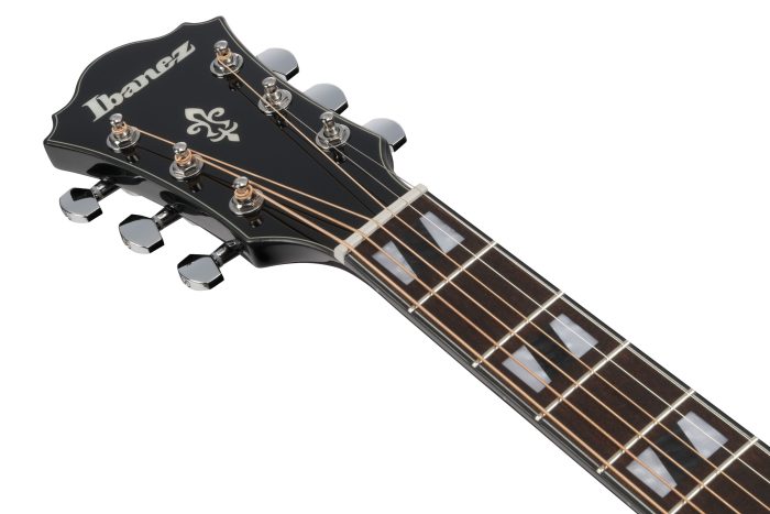 Ibanez AE170-TBK