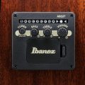 Ibanez AEWC16QA-TEH