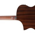 Ibanez AEWC16QA-TLH