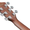 Ibanez AEWC16QA-TLH
