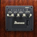 Ibanez AEWC16QA-TLH