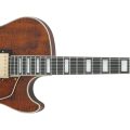 Ibanez AG95MG-DA