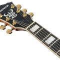 Ibanez AG95MG-DA