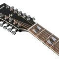 Ibanez AJ7012M1E-BK