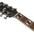 Ibanez AJ70M1E-BK