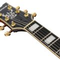 Ibanez AM93QA-VVH