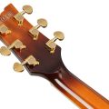 Ibanez AM93QA-VVH