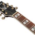 Ibanez AR520HME-NT