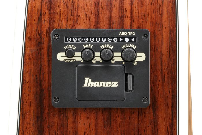 Ibanez AW391RCE-BKH