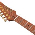 Ibanez AZ2204AG-TFB