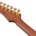 Ibanez AZ2204AG-TFB