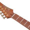 Ibanez AZ2204AG-TGB