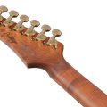 Ibanez AZ2204AG-TGB