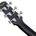 Ibanez EWP16EWB-GAO