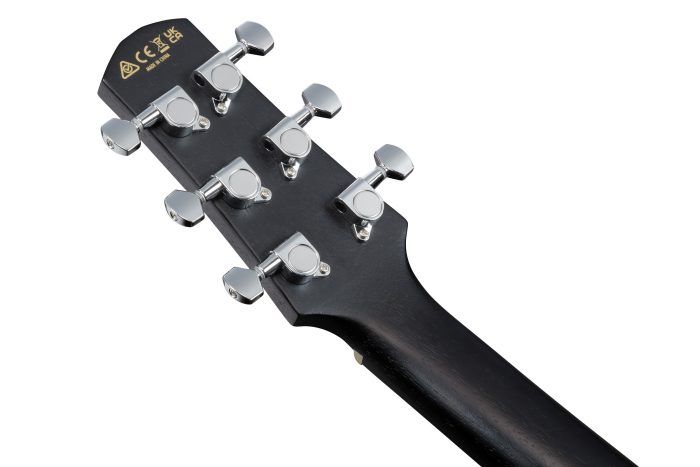Ibanez EWP16EWB-GAO