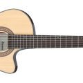 Ibanez GA35TCE-NT