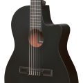 Ibanez GA621-BOT