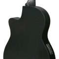 Ibanez GA621-BOT