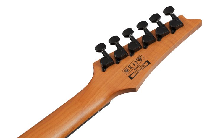 Ibanez GRGR221FA-TDK