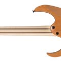 Ibanez RG5121R-DBF