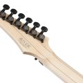 Ibanez RG653DX-TDF