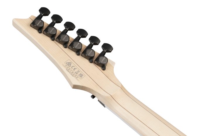 Ibanez RG653DX-TDF