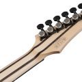 Ibanez RGR5121RB-GRF
