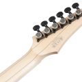 Ibanez RGR662AHBF-WK