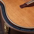 Taylor Gold Label 810e Honduran Rosewood