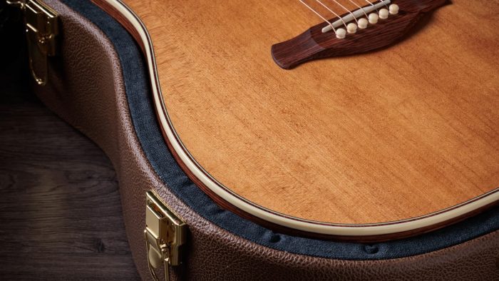 Taylor Gold Label 810e Honduran Rosewood
