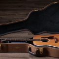 Taylor Gold Label 710e