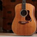 Taylor Gold Label 810e Honduran Rosewood