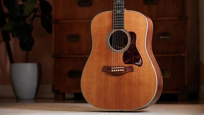 Taylor Gold Label 810e Honduran Rosewood