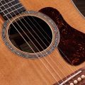 Taylor Gold Label 810e Honduran Rosewood