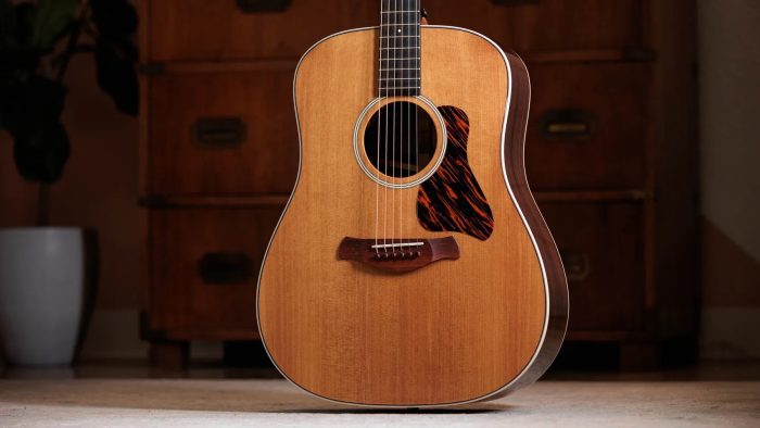 Taylor Gold Label 710e