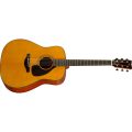 Yamaha FG5 GLOSS