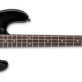 Ltd Surveyor-204Dx Black Burst
