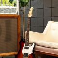 Yamaha PACS+11S DESERT BURST