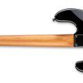 Ltd Surveyor-204Dx Black Burst