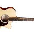 Martin GPC-13E Modern