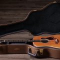 Taylor Gold Label 810e Honduran Rosewood