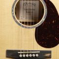 Martin GPC-13E Modern