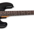 Ltd Surveyor-204Dx Black Burst