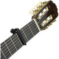 Daddario PW-CP-19