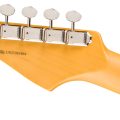 Fender American Professional Classic Stratocaster HSS, Maple Fingerboard, Faded Black