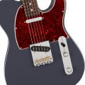 Fender American Professional Classic Telecaster, Rosewood Fingerboard, Faded Black