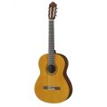 Yamaha C40 PACKAGE