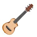 Ibanez AUP10N-OPN