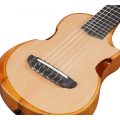 Ibanez AUP10N-OPN